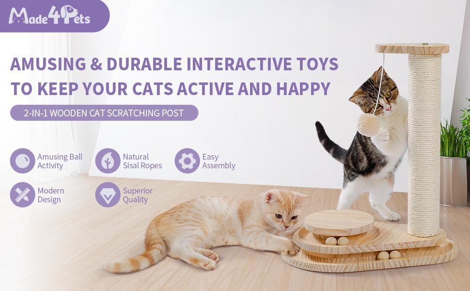 2-in-1 Cat Combo toy