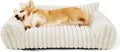 Cute Cat Couch For Pets