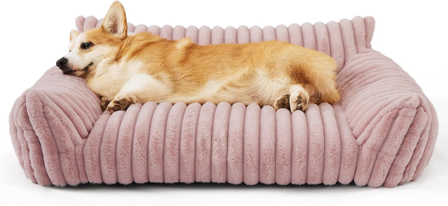 Cute Cat Couch For Pets