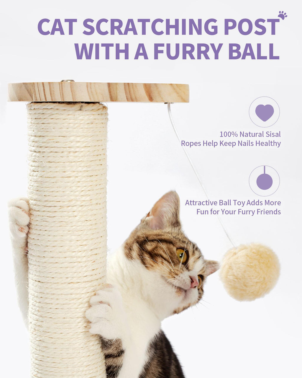 2-in-1 Cat Combo toy
