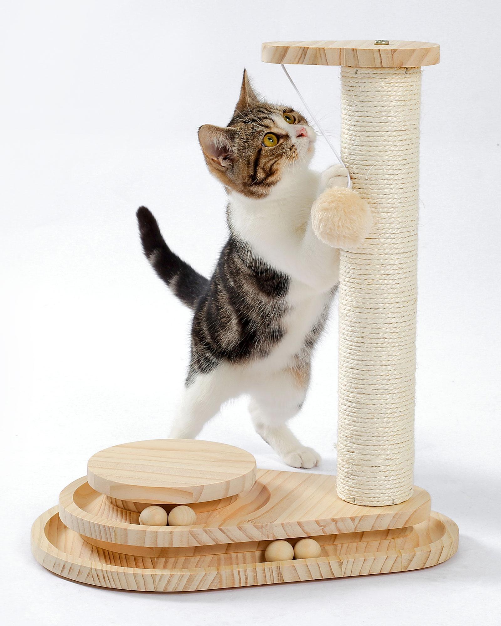 2-in-1 Cat Combo toy