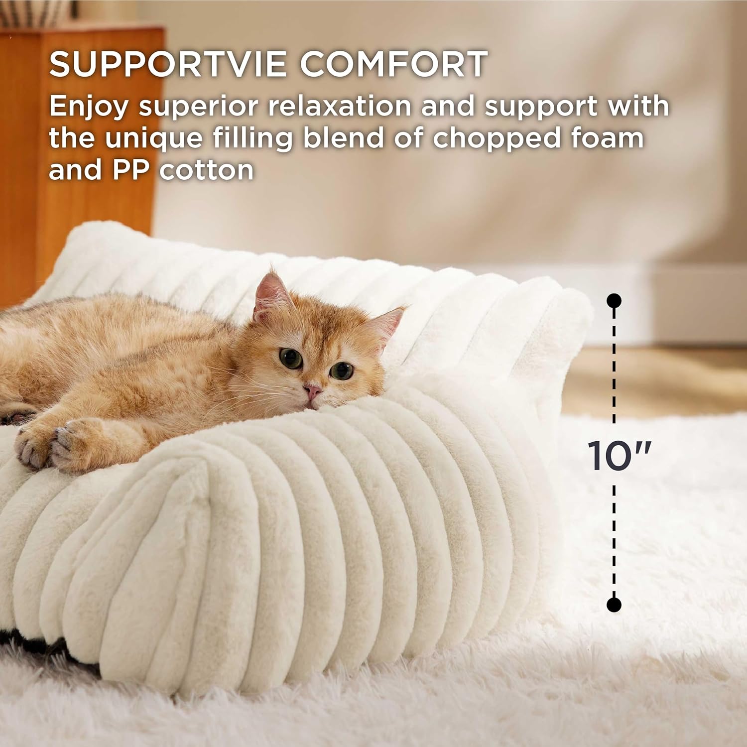 Cute Cat Couch For Pets