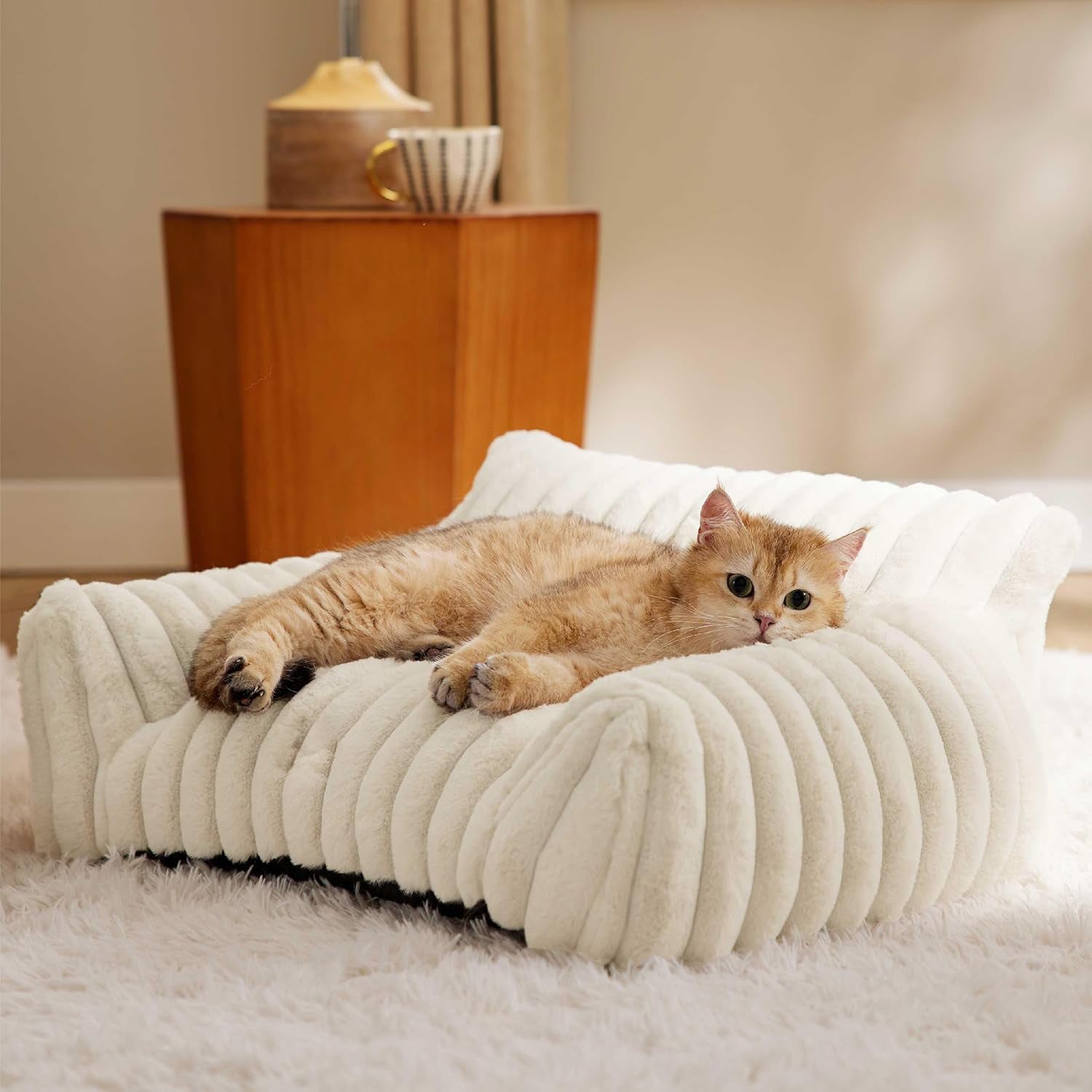 Cute Cat Couch For Pets