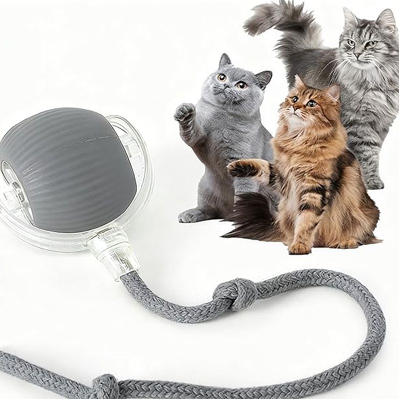 Cat Interactive Ball Toys Automatic Rolling Ball For Kitten Rechargeable Smart Pet Electric Toys With Teaser Sensor Cat Ball Toy