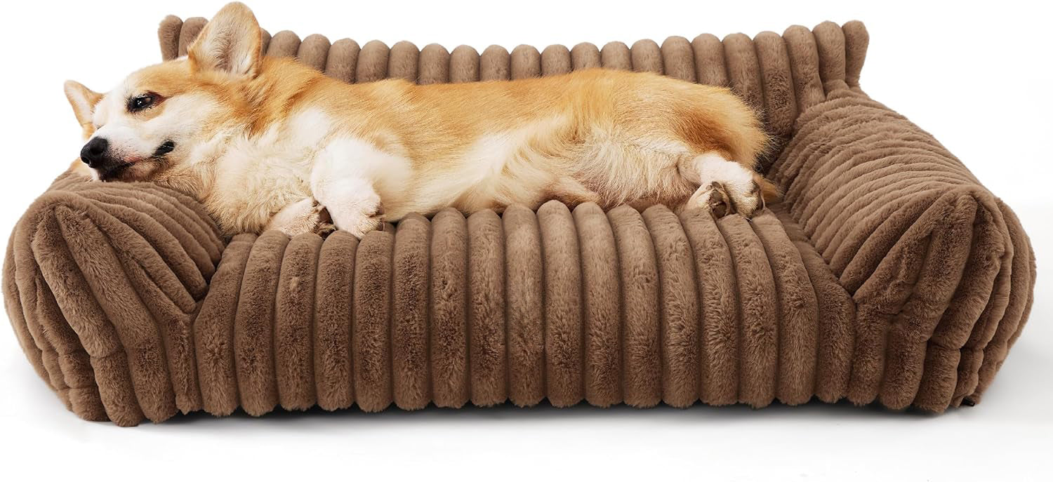 Cute Cat Couch For Pets