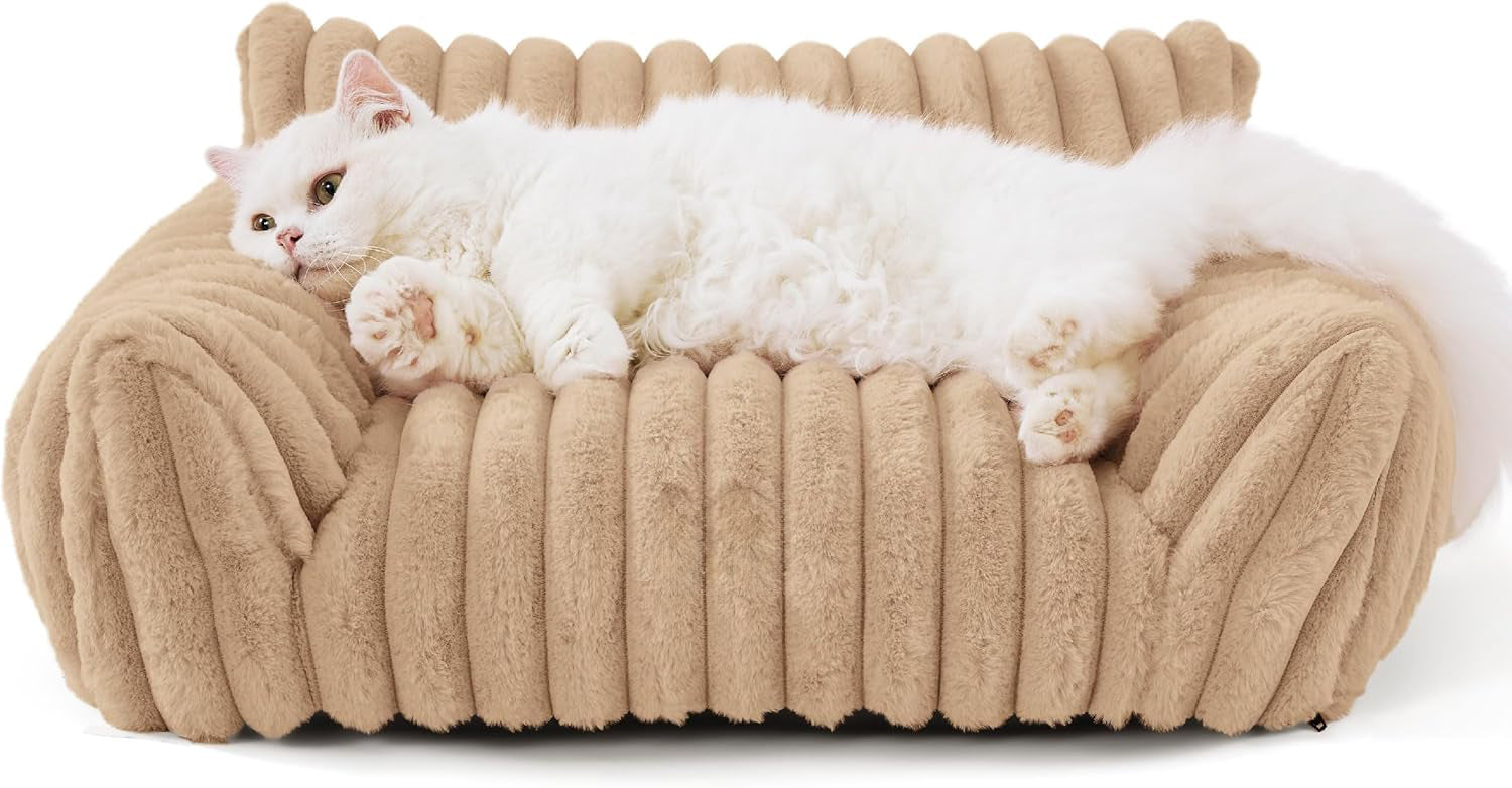 Cute Cat Couch For Pets