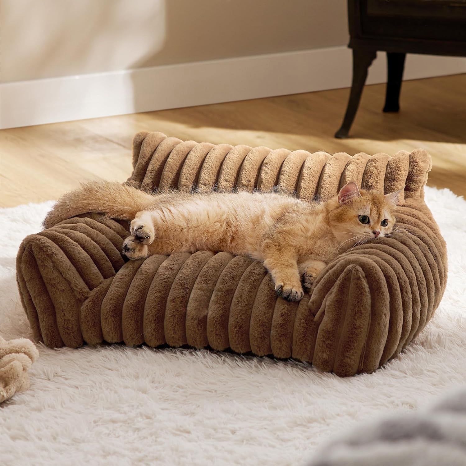 Cute Cat Couch For Pets