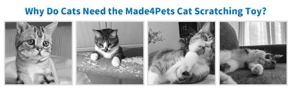 2-in-1 Cat Combo toy