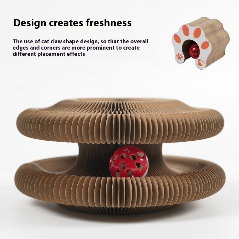 Organ Cat Scratch Board