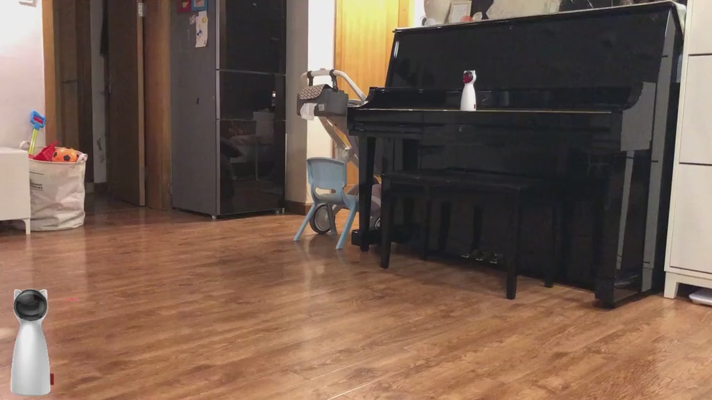 Automatic LED Laser Fun for Cats