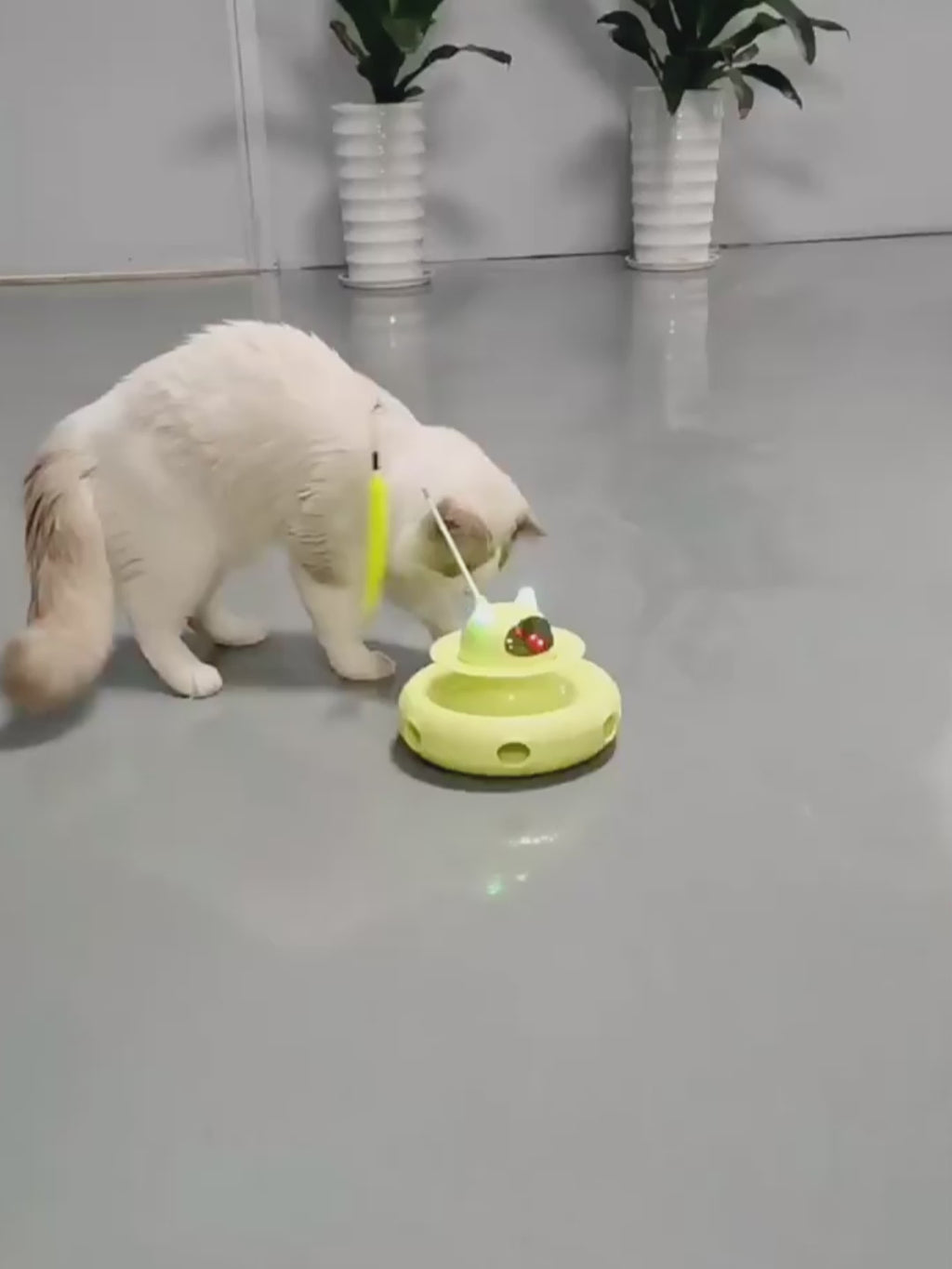 Automatic Infrared Laser Teaser for Cats